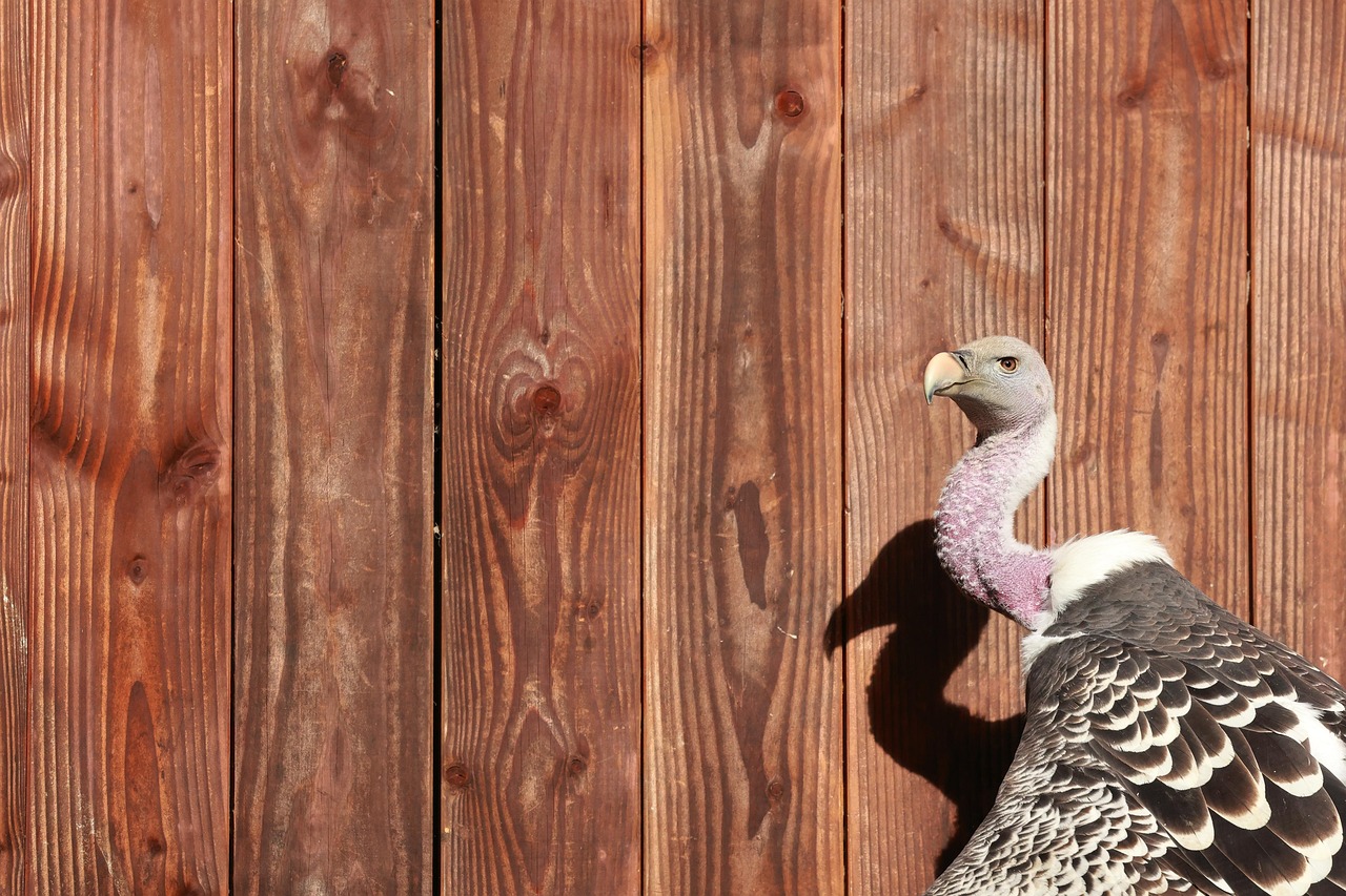 Empresas Falidas: Veja 10 Marcas Que Você Nem Imaginava