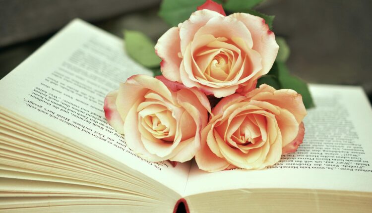 8 Semestre: Quanto Tempo Dura e O Que Esperar