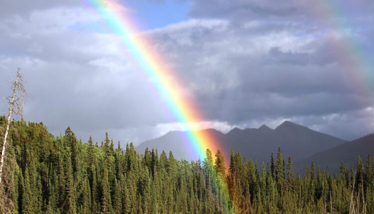 O Que é Gênero: Conceito e Discussão Atual