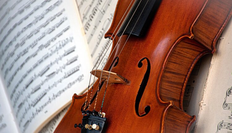 Profissão com V: 5 Carreira que Começam com Essa Letra