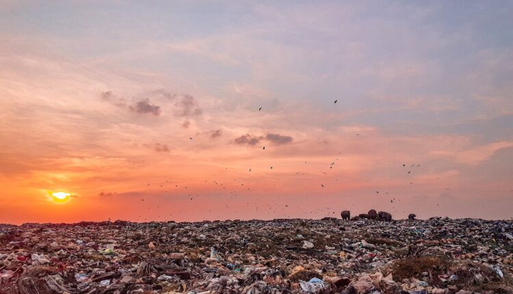 Quanto Ganha um Lixeiro: Salário e Benefícios em 2025