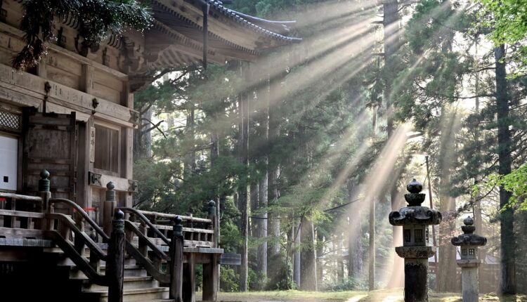 SOL DB BLV: Significado e Contexto