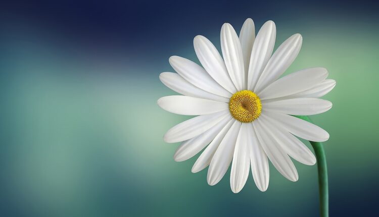 Sonhar com Pessoas de Branco: Interpretação